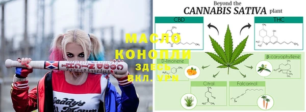 гашик Каменногорск