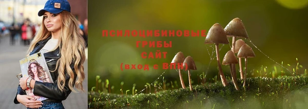 гашик Каменногорск