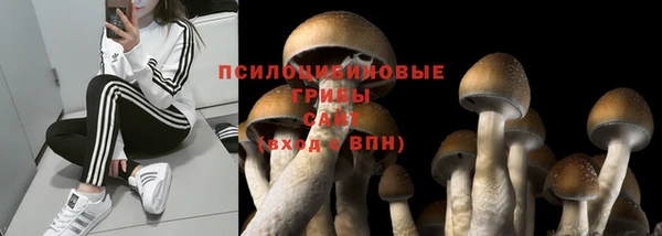 гашик Каменногорск