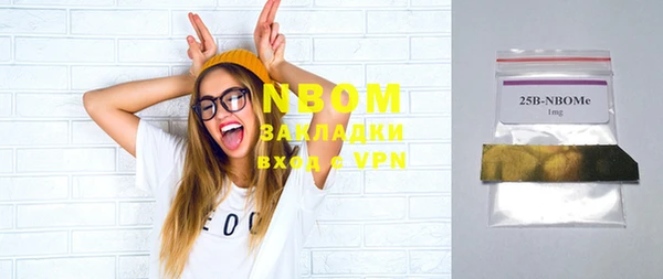 гашик Каменногорск