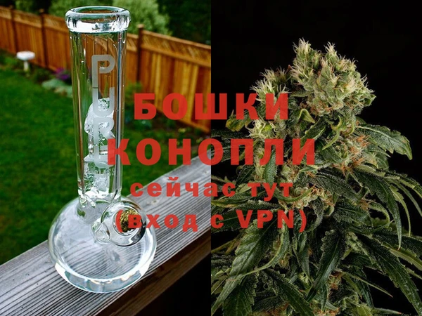 гашик Каменногорск