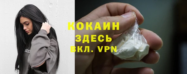 гашик Каменногорск