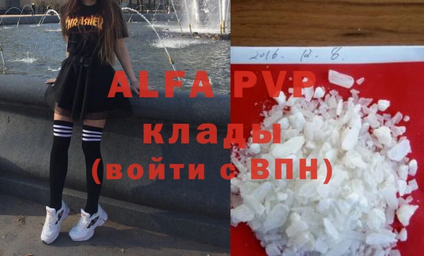 гашик Каменногорск