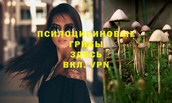 гашик Каменногорск