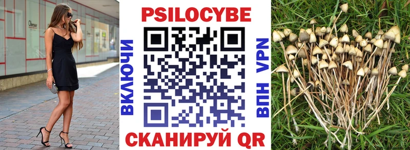 Купить  Пучеж  Галлюциногенные грибы Magic Shrooms 